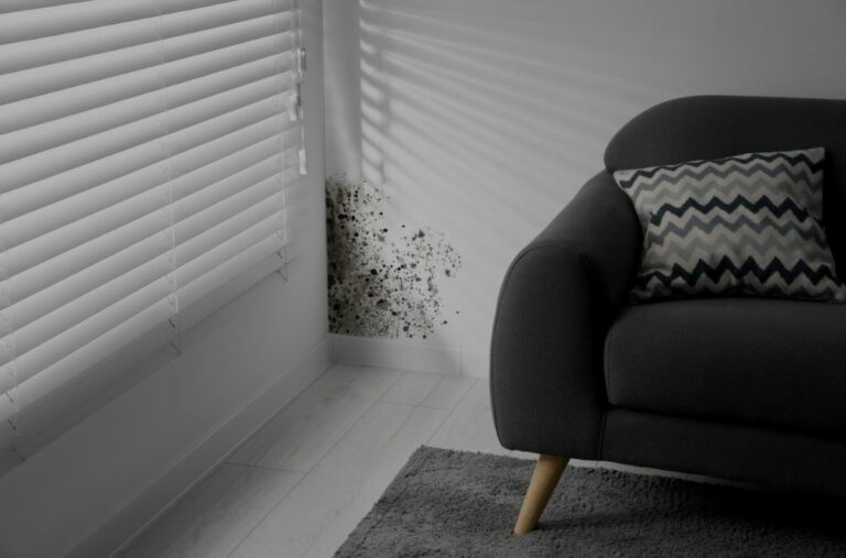 Does Landlord Insurance Cover Mold?