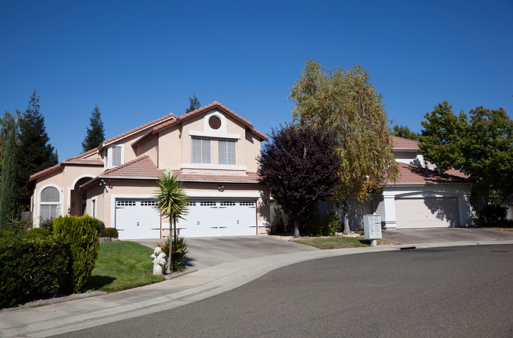 Bamboo Insurance in California